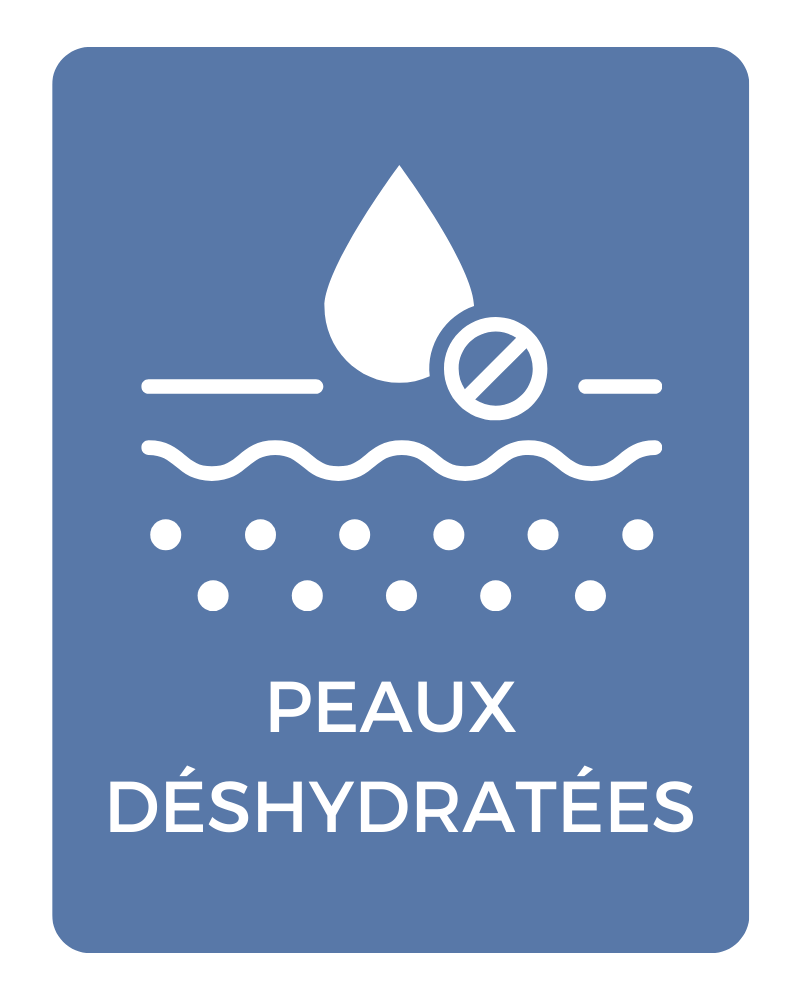 Schéma de la peau déshydratée montrant un manque d’eau dans l’épiderme et une perte d’hydratation cutanée.