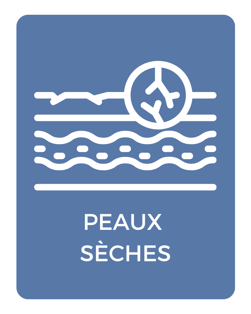 Schéma de la peau sèche montrant un manque de lipides et une barrière cutanée fragilisée dans les différentes couches de la peau.